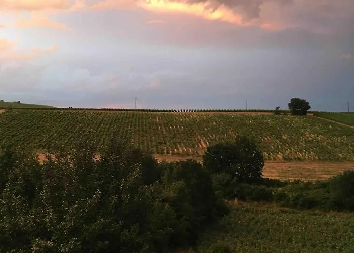 Stone House, Terraced Garden And Pool * Saint-Beauzile
